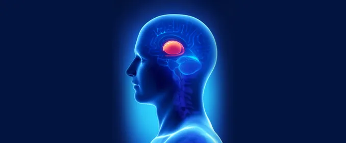 آیا تومور مغزی ارثی است؟